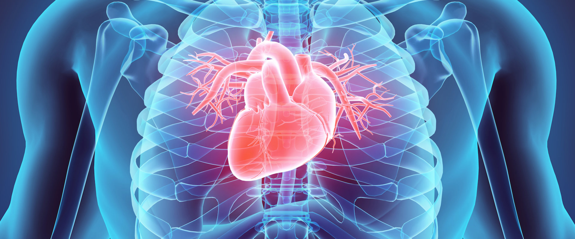Can Methamphetamine Cause Cardiomyopathy?